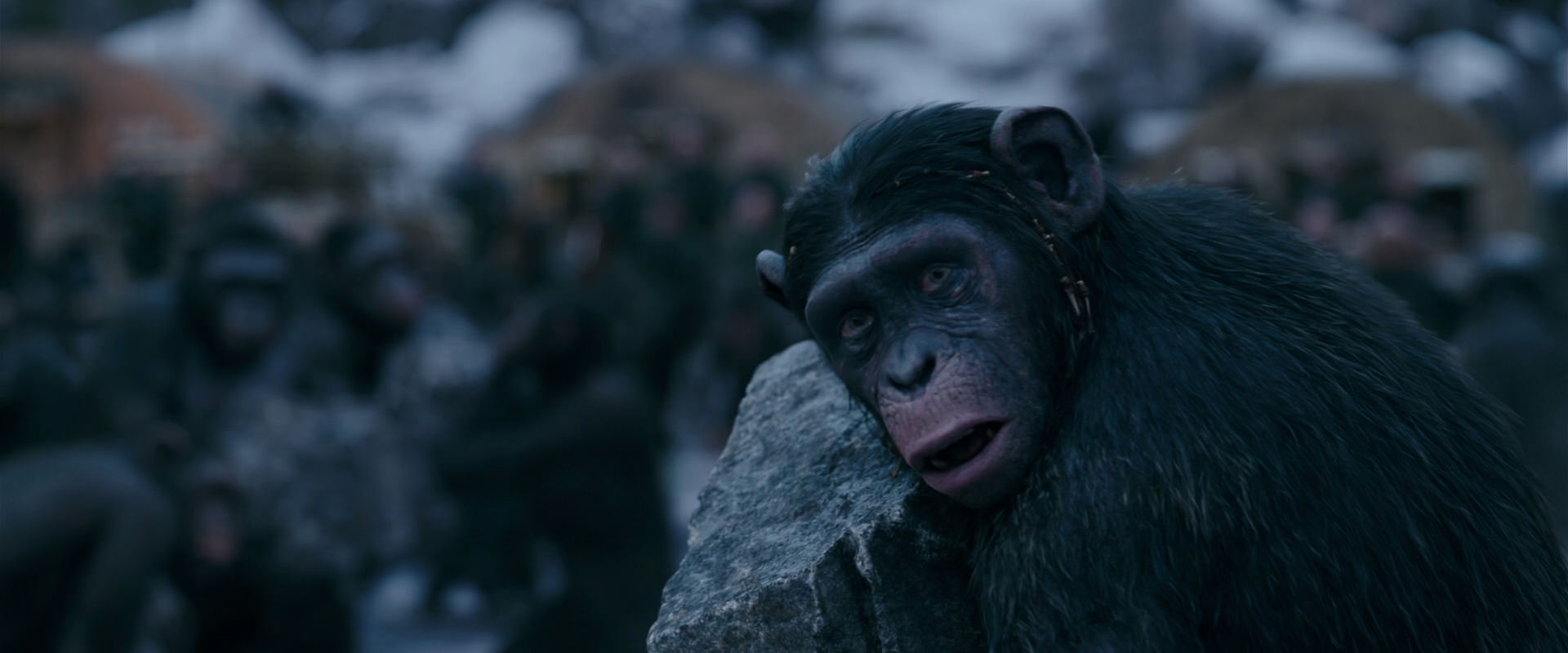War for the Planet of the Apes (2017) movie still 8686