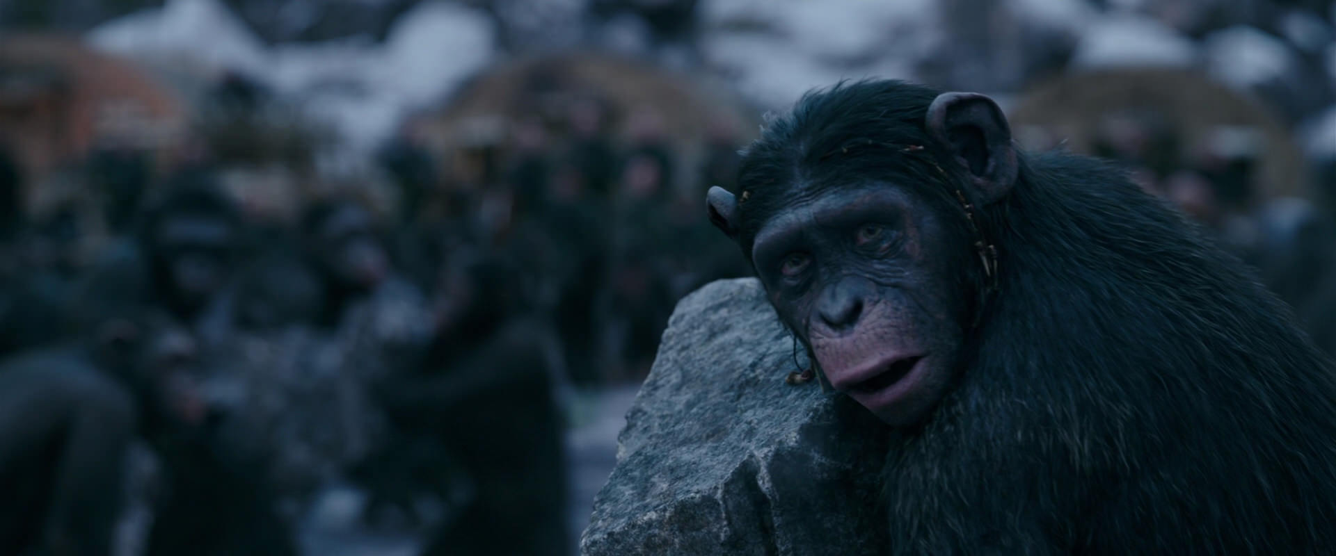 War for the Planet of the Apes (2017) HD screenshot 8687