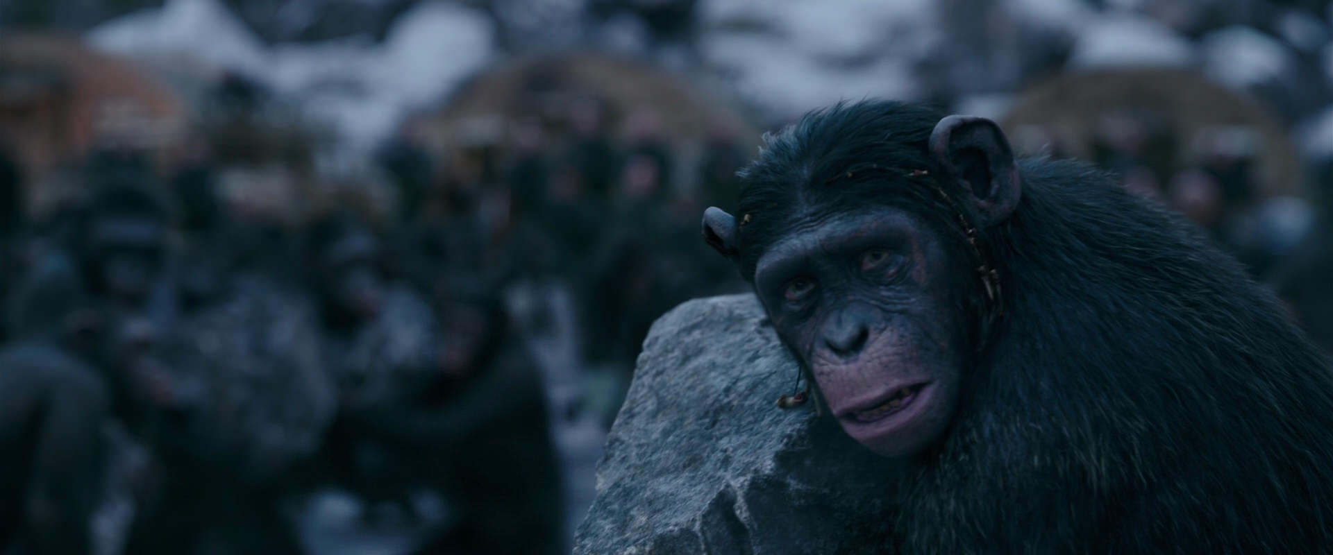 War for the Planet of the Apes (2017) screencap 8688