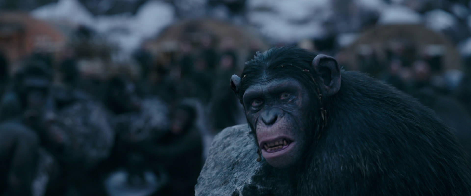 War for the Planet of the Apes (2017) movie still 8689