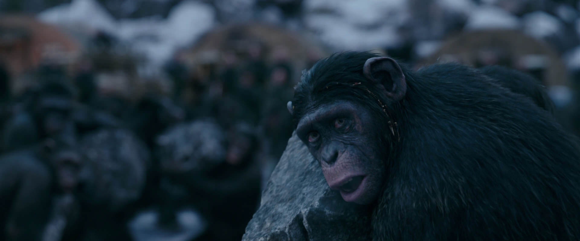 War for the Planet of the Apes (2017) HD screenshot 8690