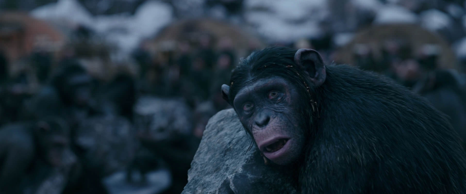 War for the Planet of the Apes (2017) screencap 8691
