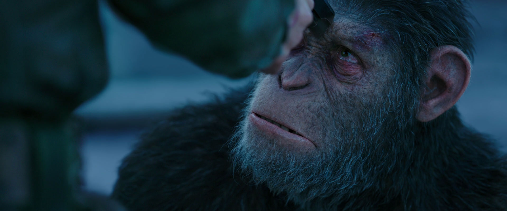 War for the Planet of the Apes (2017) HD screenshot 8702