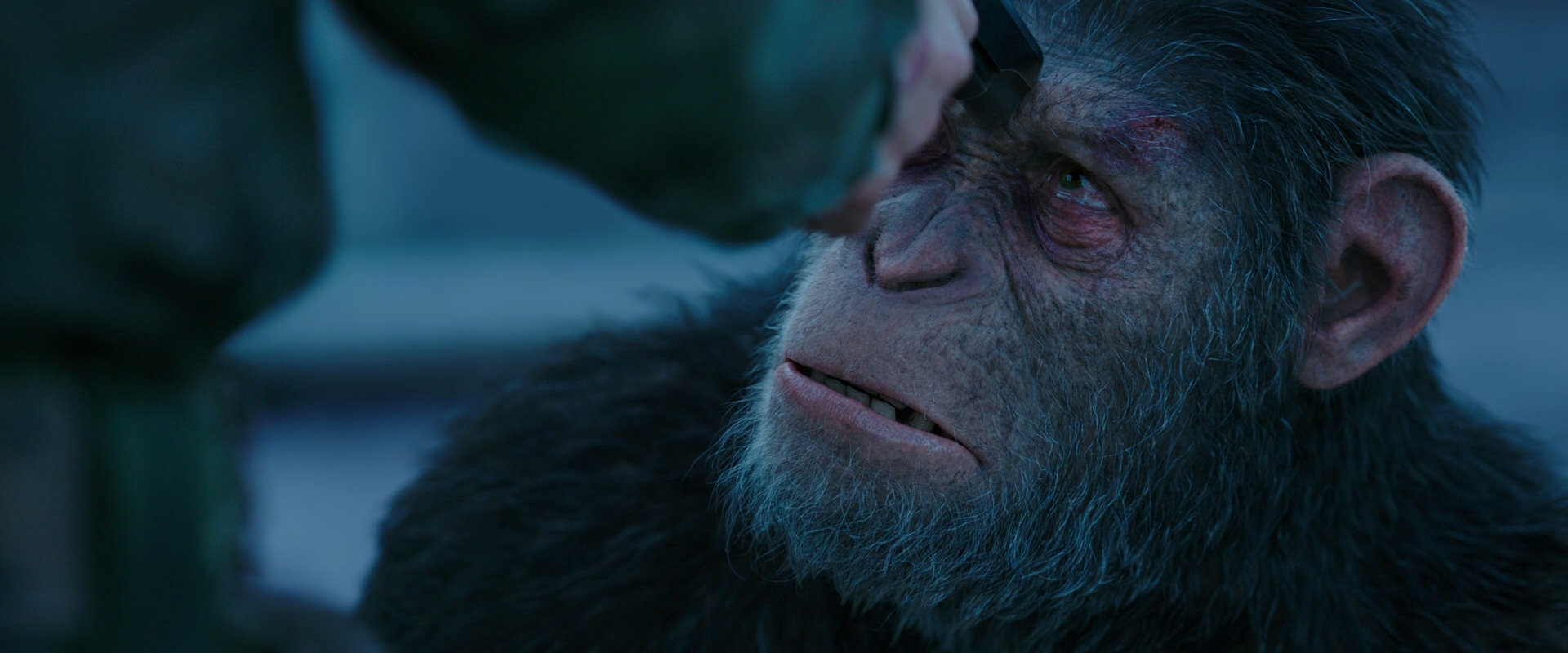 War for the Planet of the Apes (2017) screencap 8703