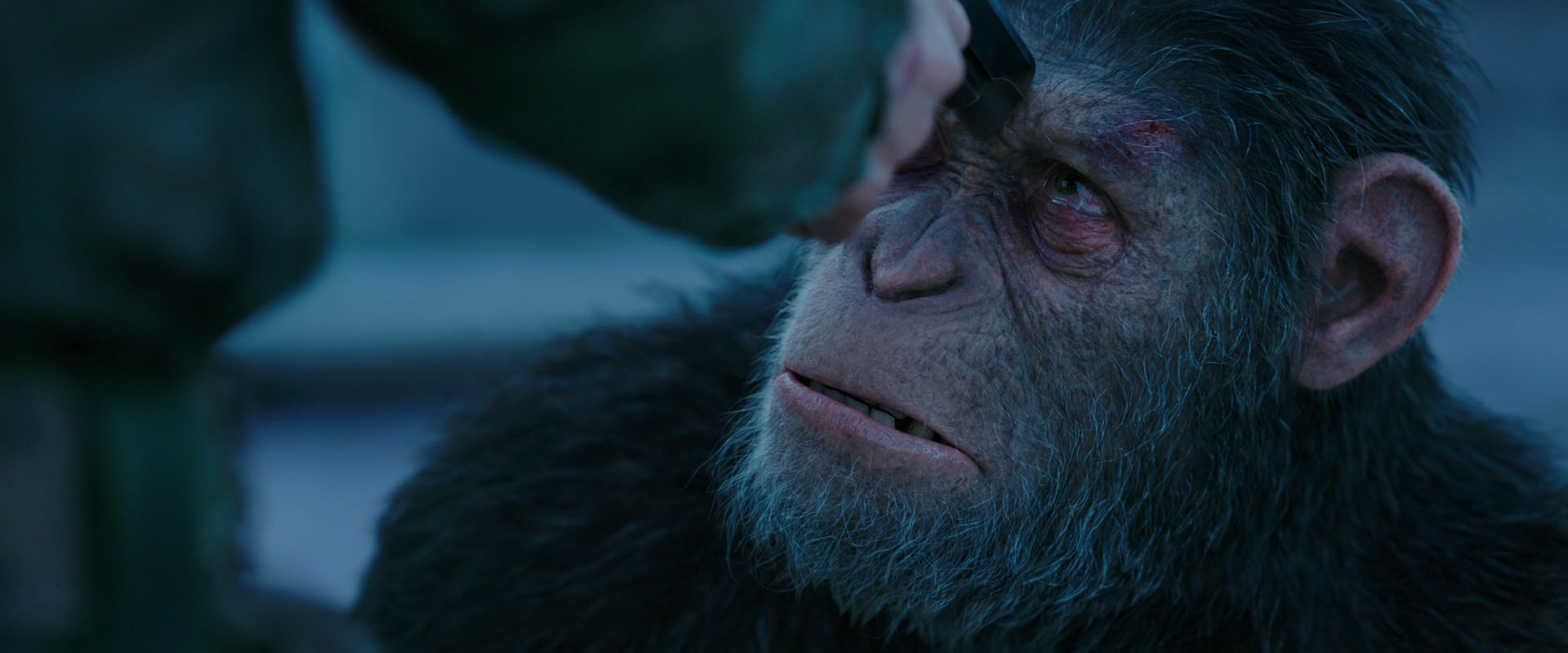 War for the Planet of the Apes (2017) movie still 8704