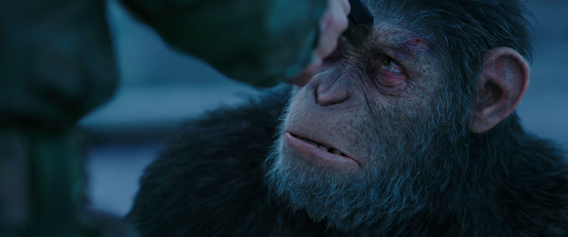 War for the Planet of the Apes (2017) HD screenshot 8705