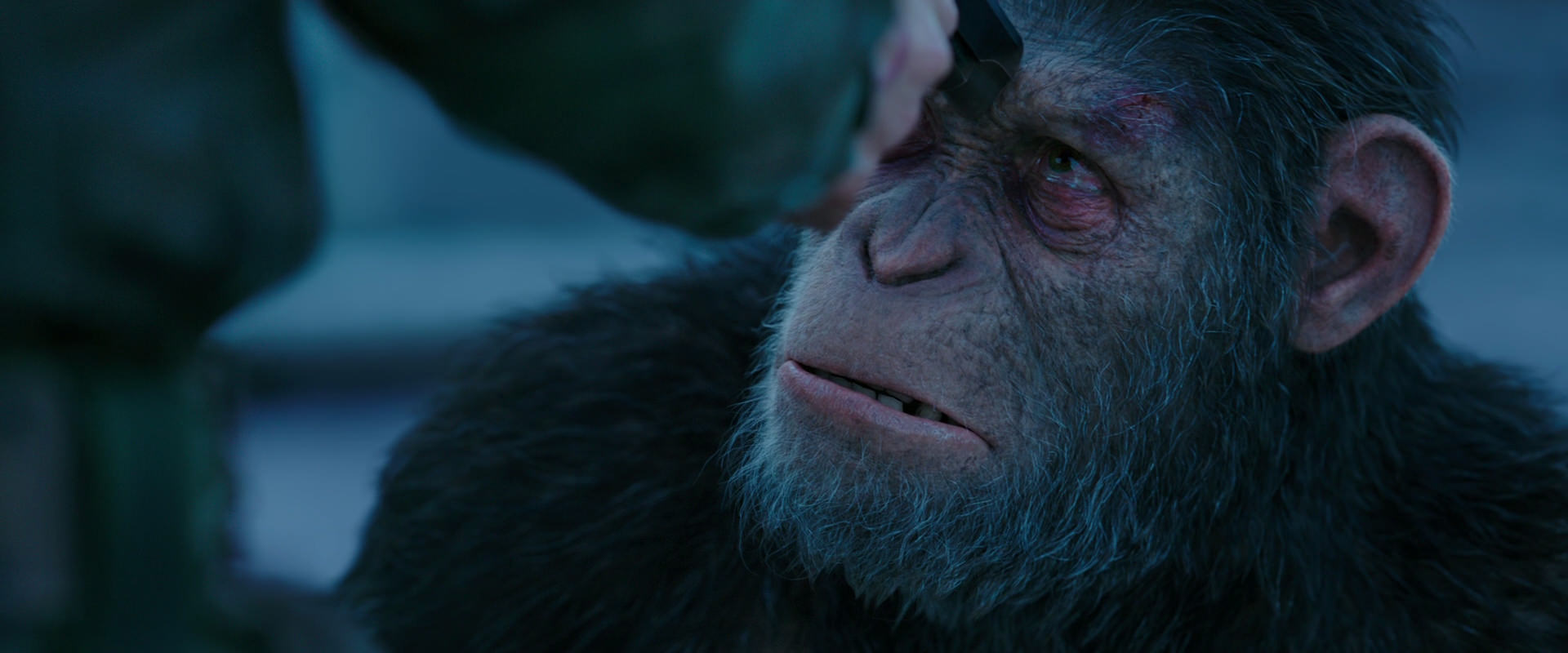 War for the Planet of the Apes (2017) screencap 8706