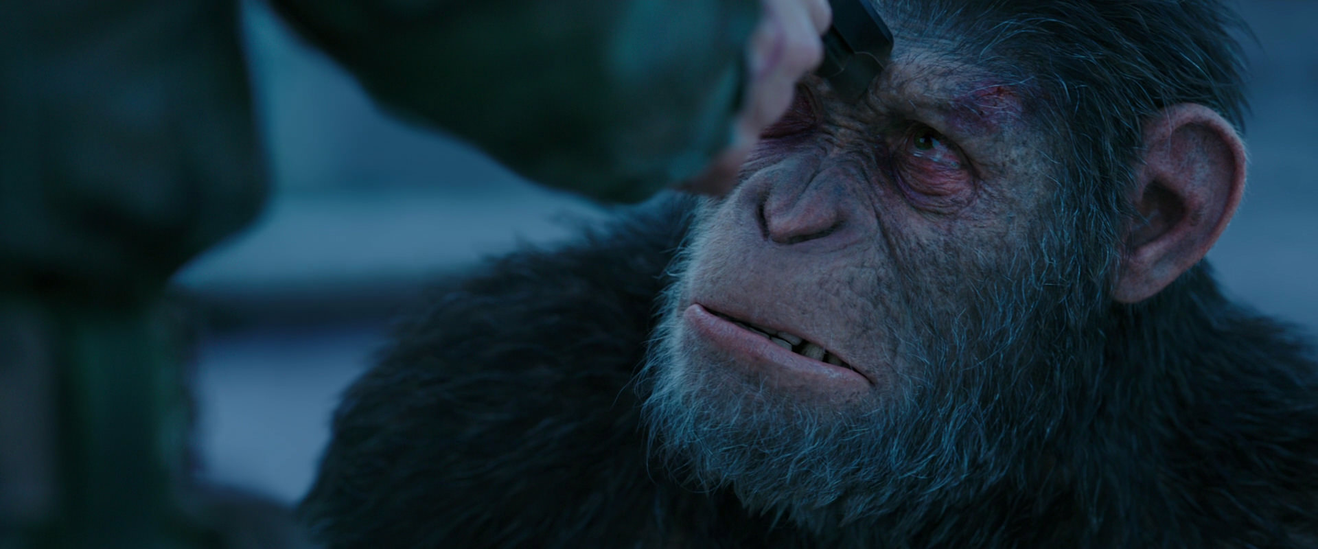 War for the Planet of the Apes (2017) movie still 8707