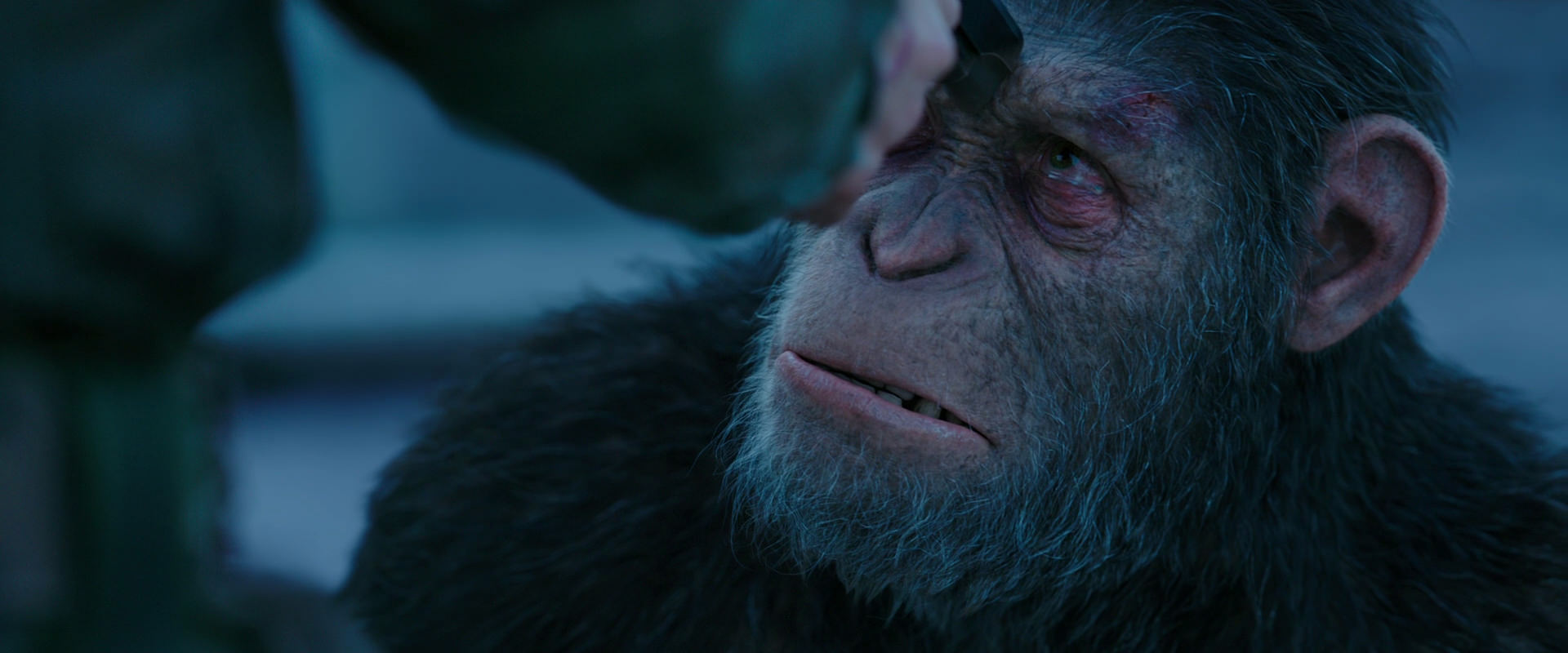 War for the Planet of the Apes (2017) HD screenshot 8708