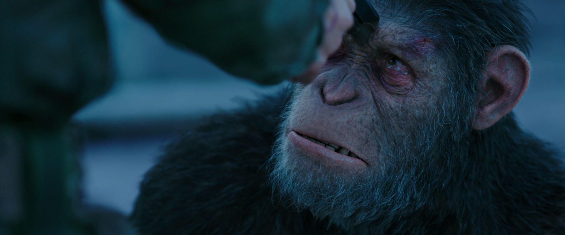 War for the Planet of the Apes (2017) screencap 8709