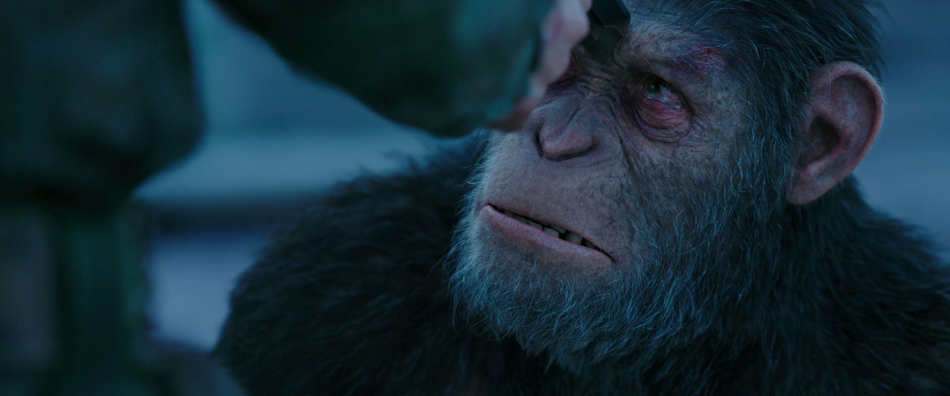 War for the Planet of the Apes (2017) movie still 8710