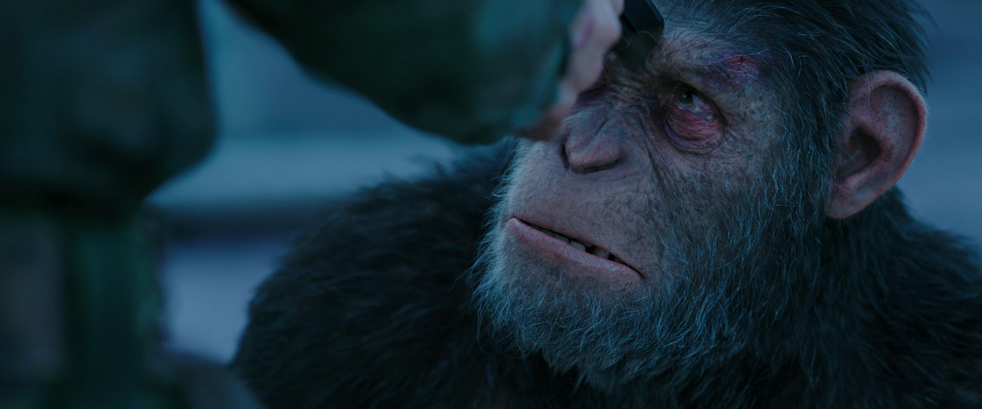 War for the Planet of the Apes (2017) HD screenshot 8711