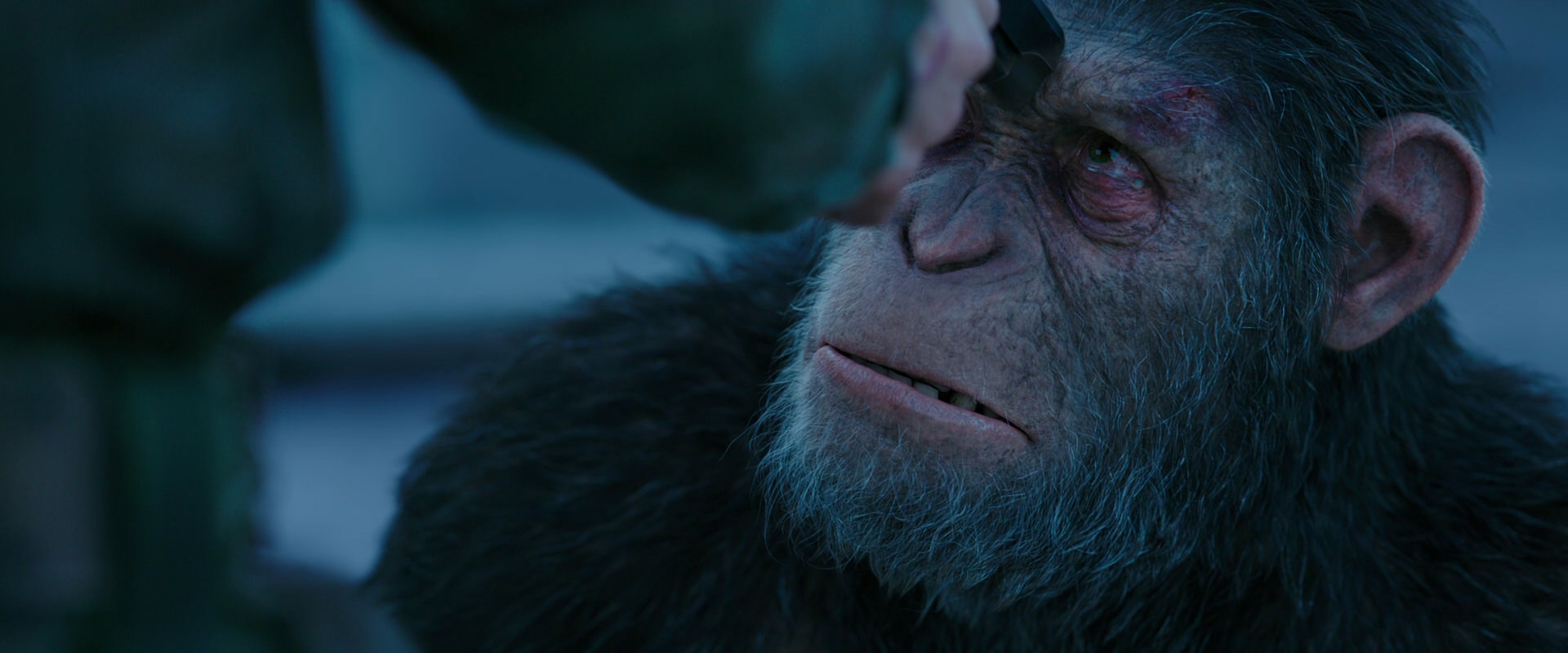 War for the Planet of the Apes (2017) screencap 8712