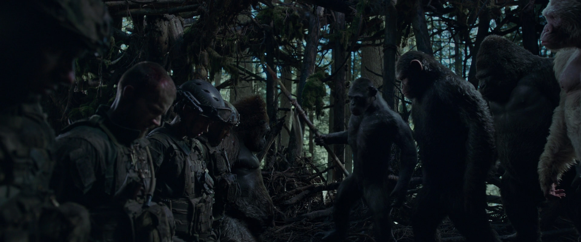 War for the Planet of the Apes (2017) screencap 873