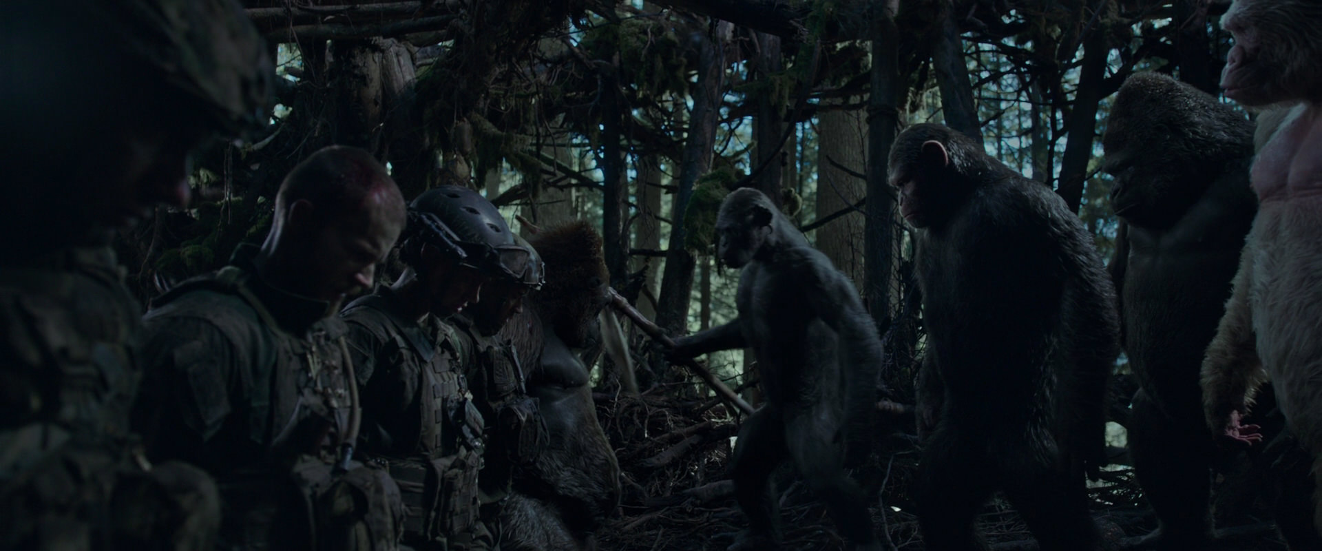War for the Planet of the Apes (2017) movie still 874