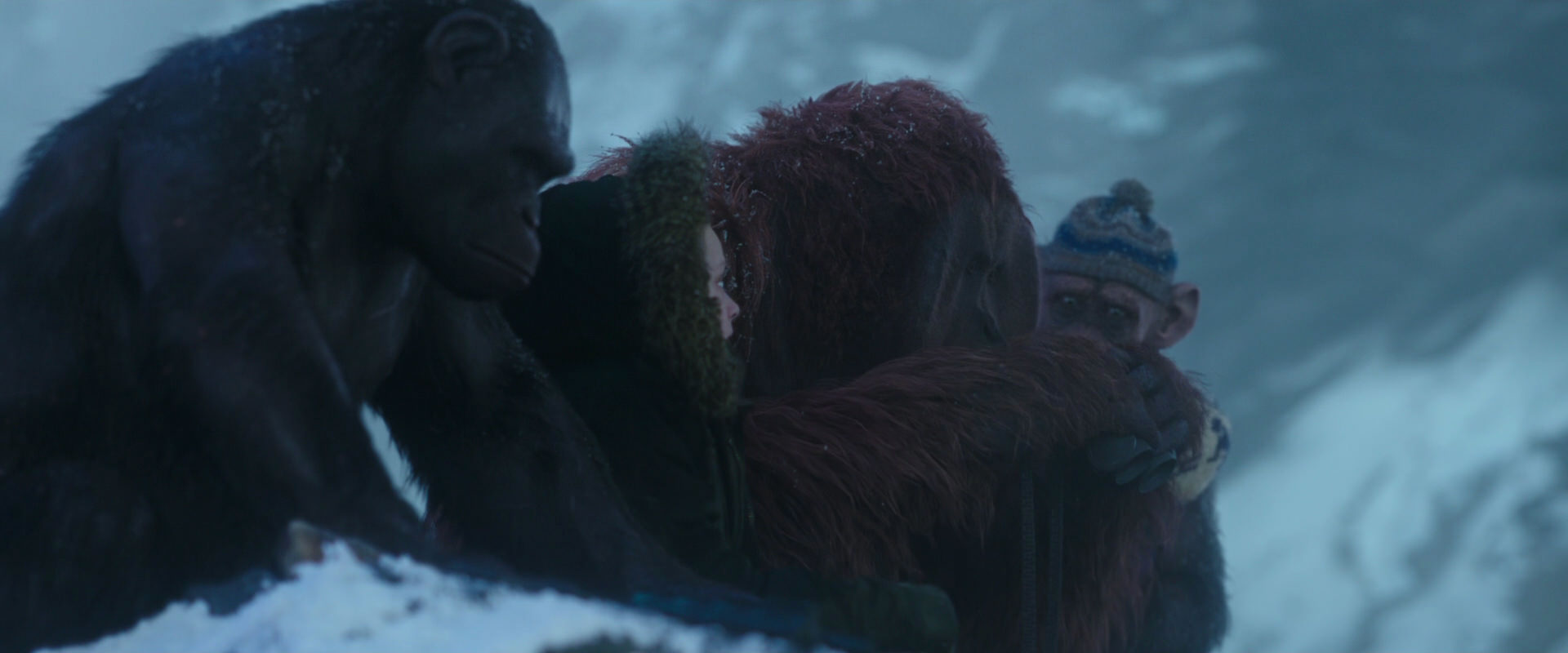 War for the Planet of the Apes (2017) screencap 8745