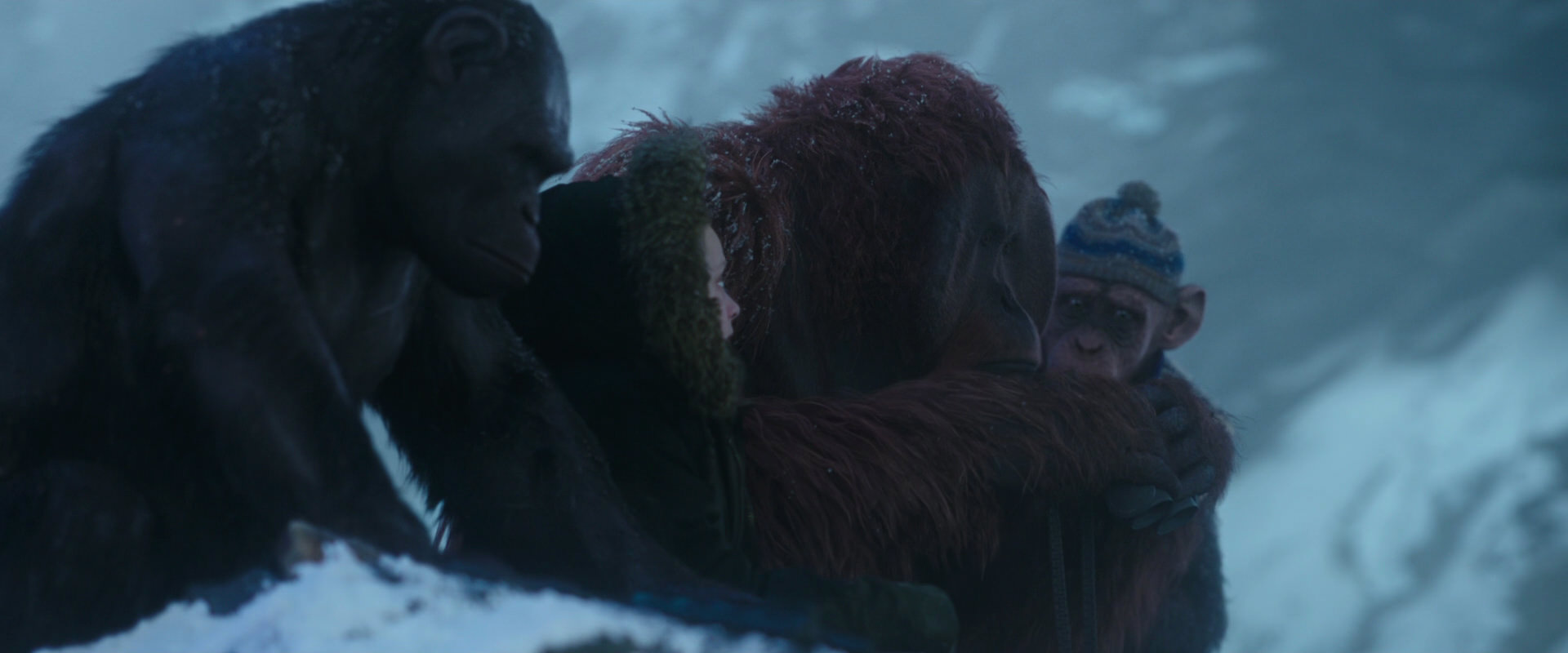War for the Planet of the Apes (2017) movie still 8746