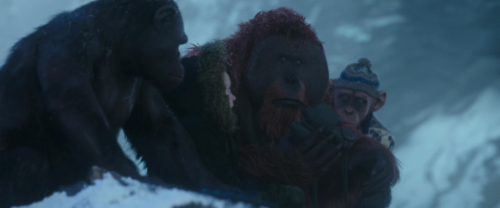 War for the Planet of the Apes (2017) screencap 8748
