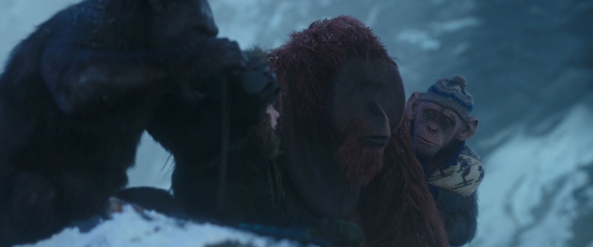 War for the Planet of the Apes (2017) movie still 8758
