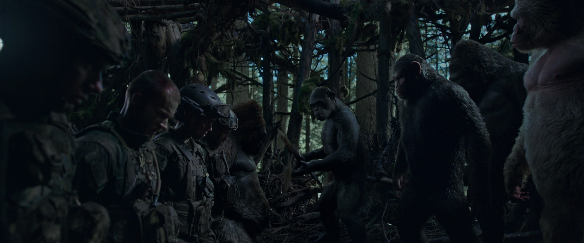 War for the Planet of the Apes (2017) screencap 876