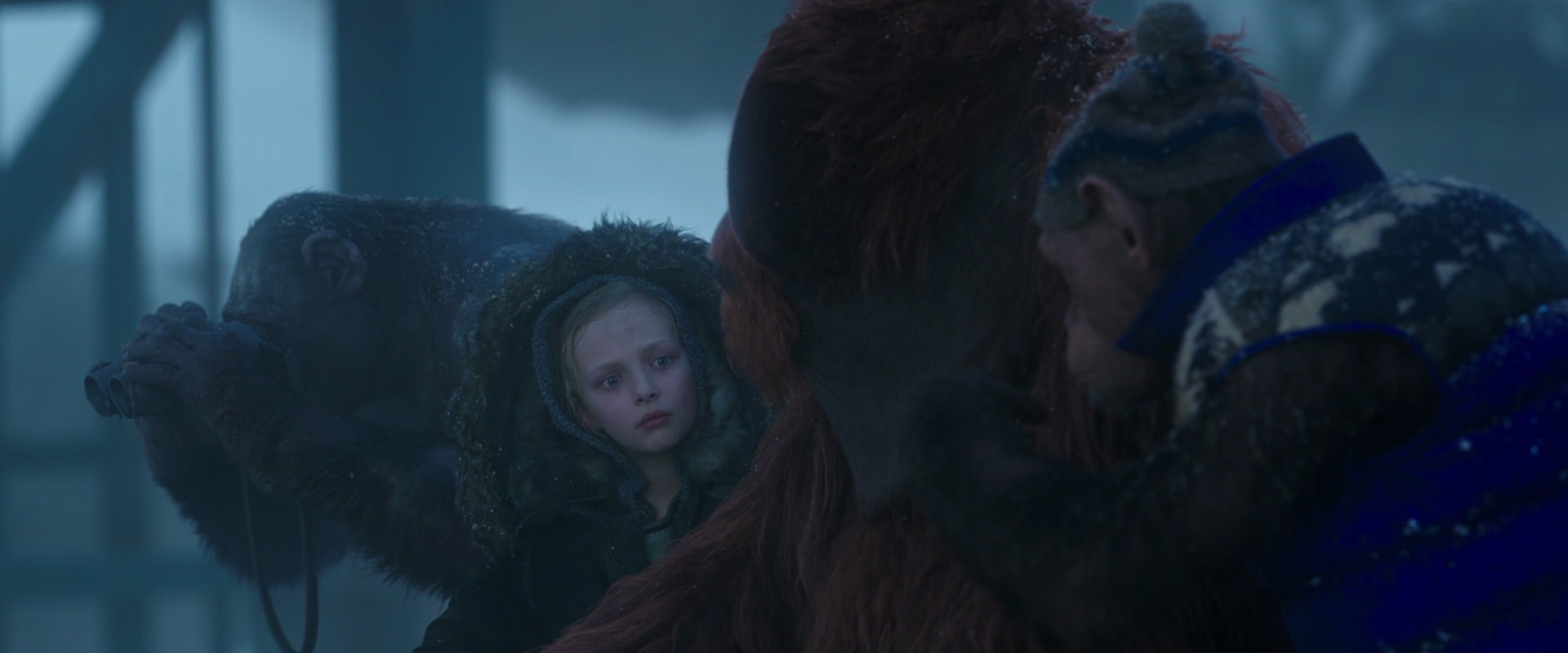 War for the Planet of the Apes (2017) movie still 8764