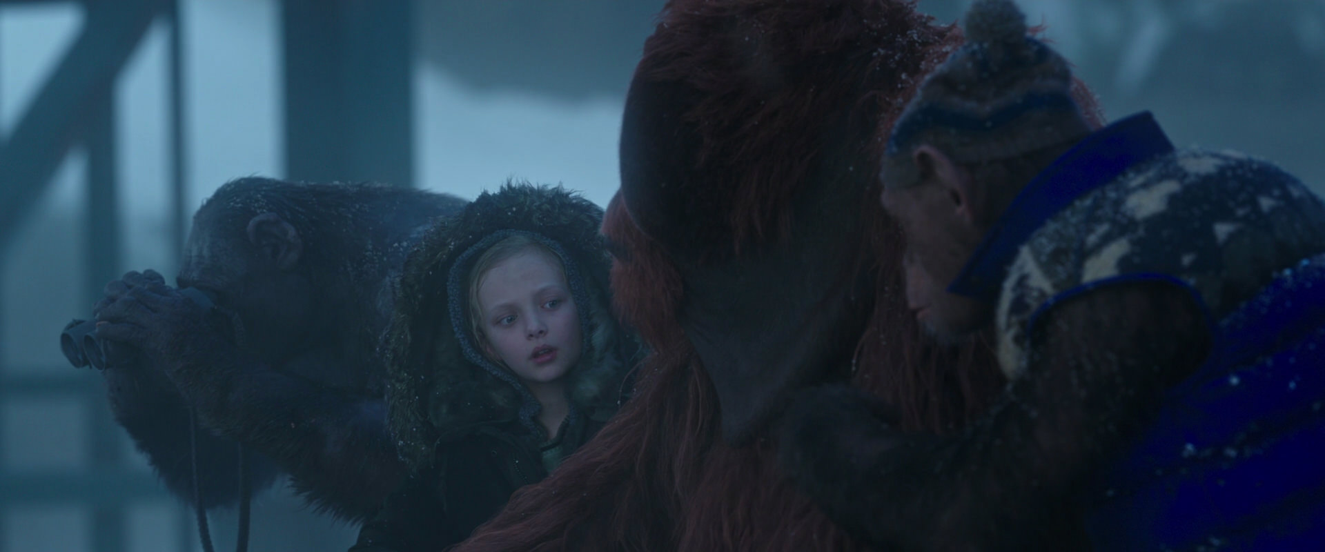War for the Planet of the Apes (2017) movie still 8767