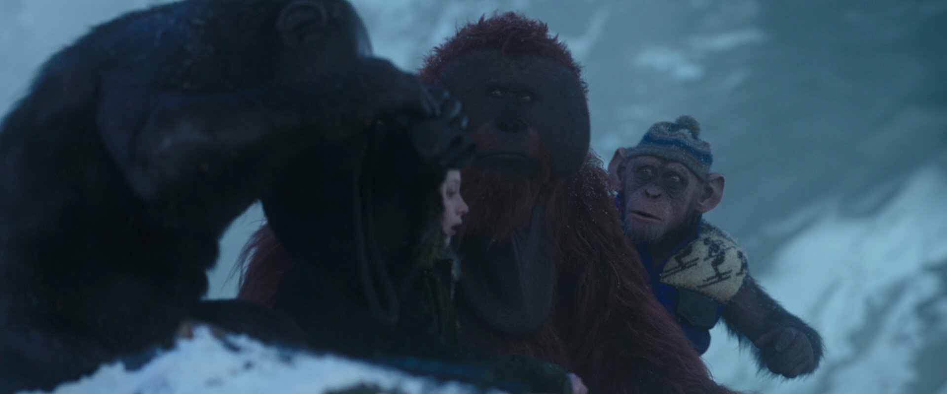 War for the Planet of the Apes (2017) screencap 8769