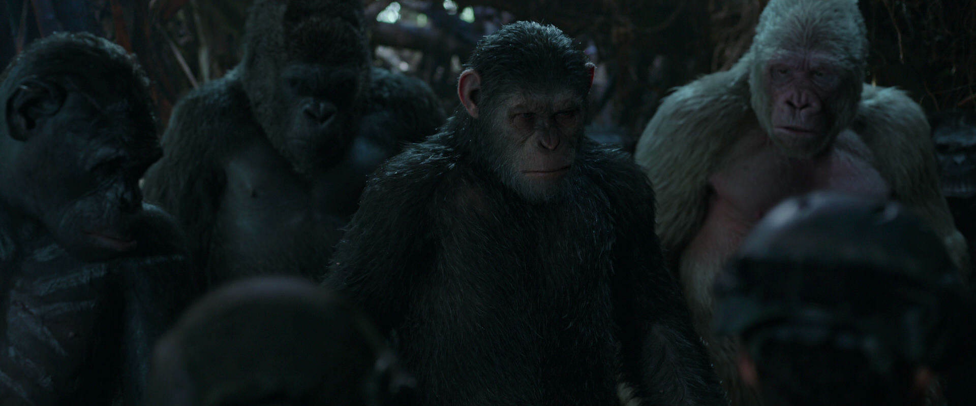 War for the Planet of the Apes (2017) movie still 877