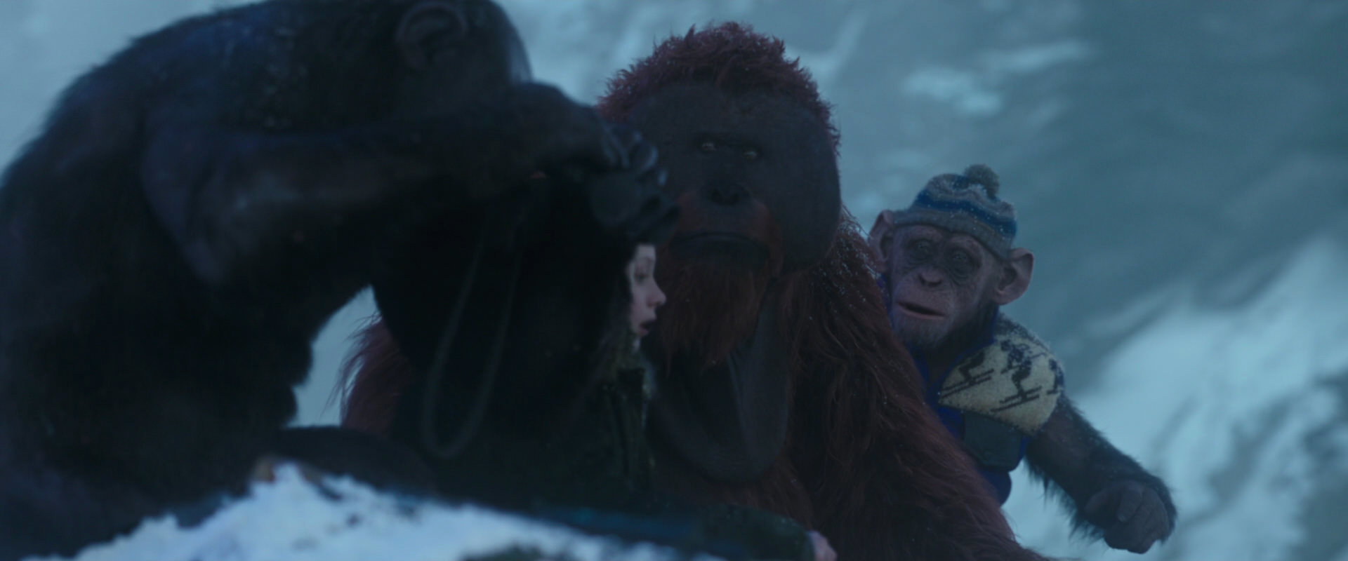 War for the Planet of the Apes (2017) movie still 8770