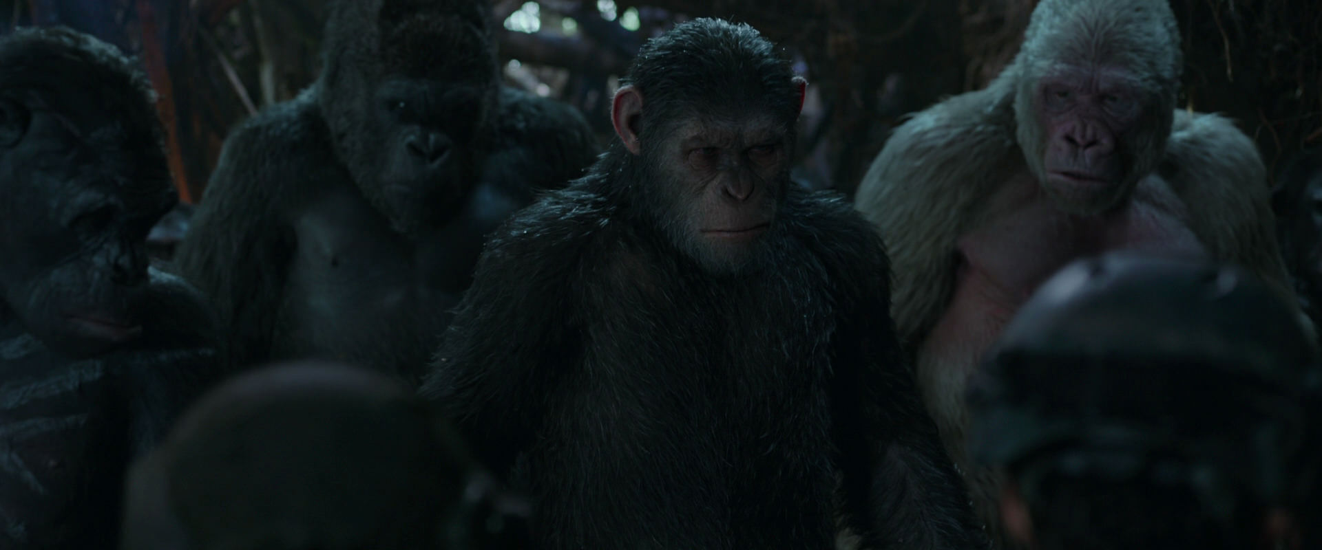 War for the Planet of the Apes (2017) HD screenshot 878