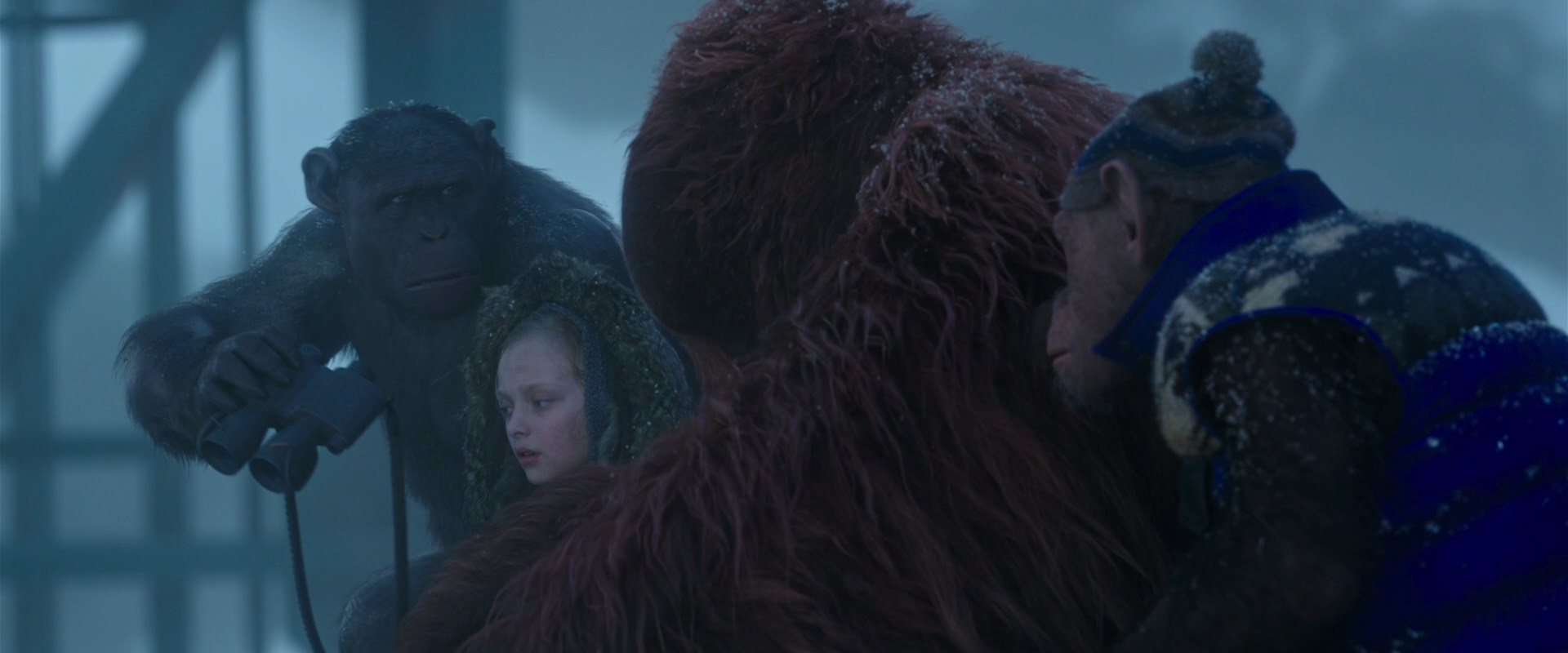 War for the Planet of the Apes (2017) movie still 8782