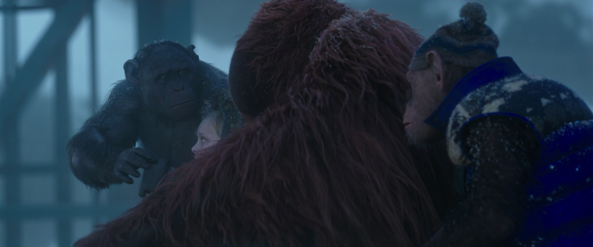 War for the Planet of the Apes (2017) screencap 8784