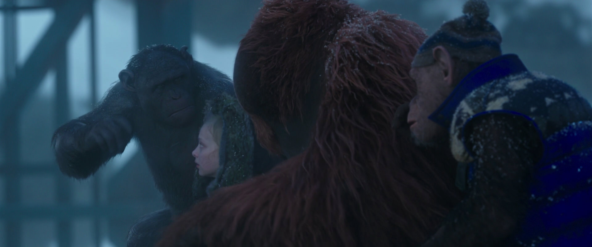War for the Planet of the Apes (2017) movie still 8785