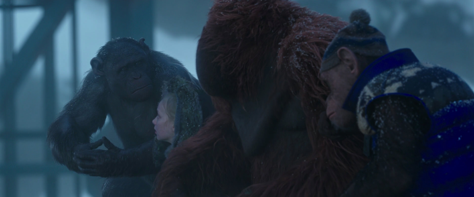 War for the Planet of the Apes (2017) screencap 8787