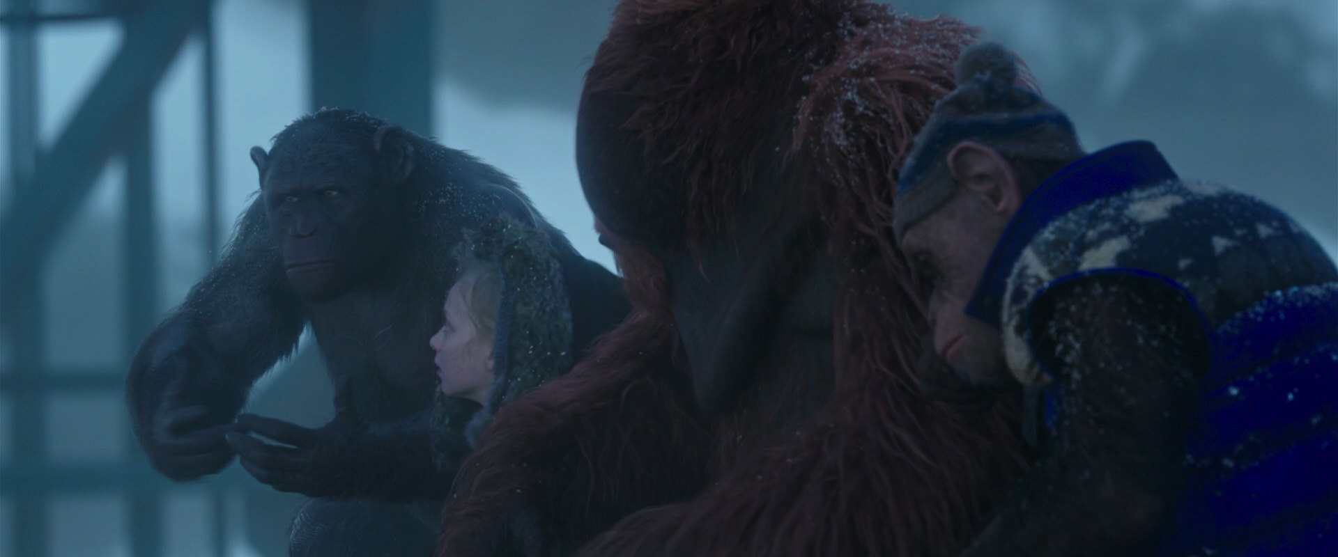 War for the Planet of the Apes (2017) movie still 8788