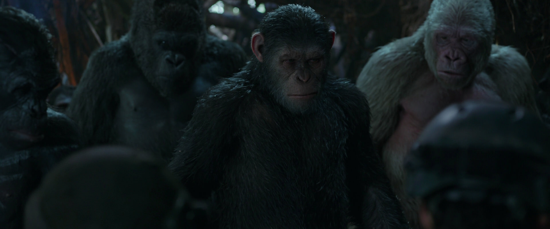 War for the Planet of the Apes (2017) screencap 879