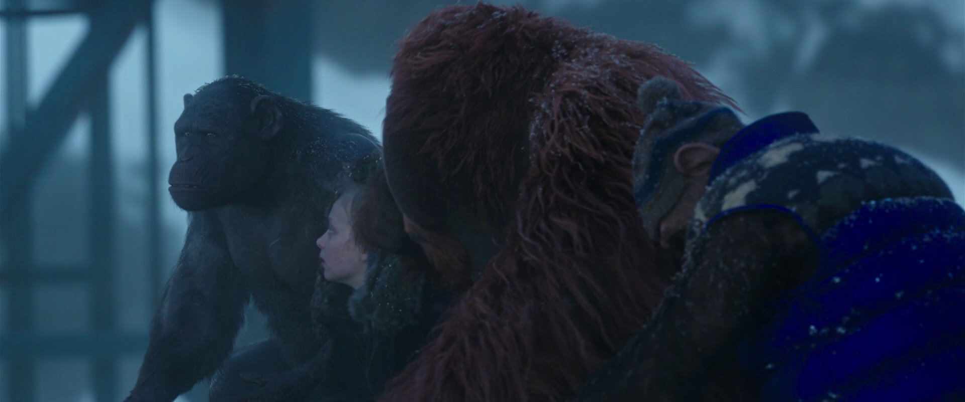 War for the Planet of the Apes (2017) screencap 8790