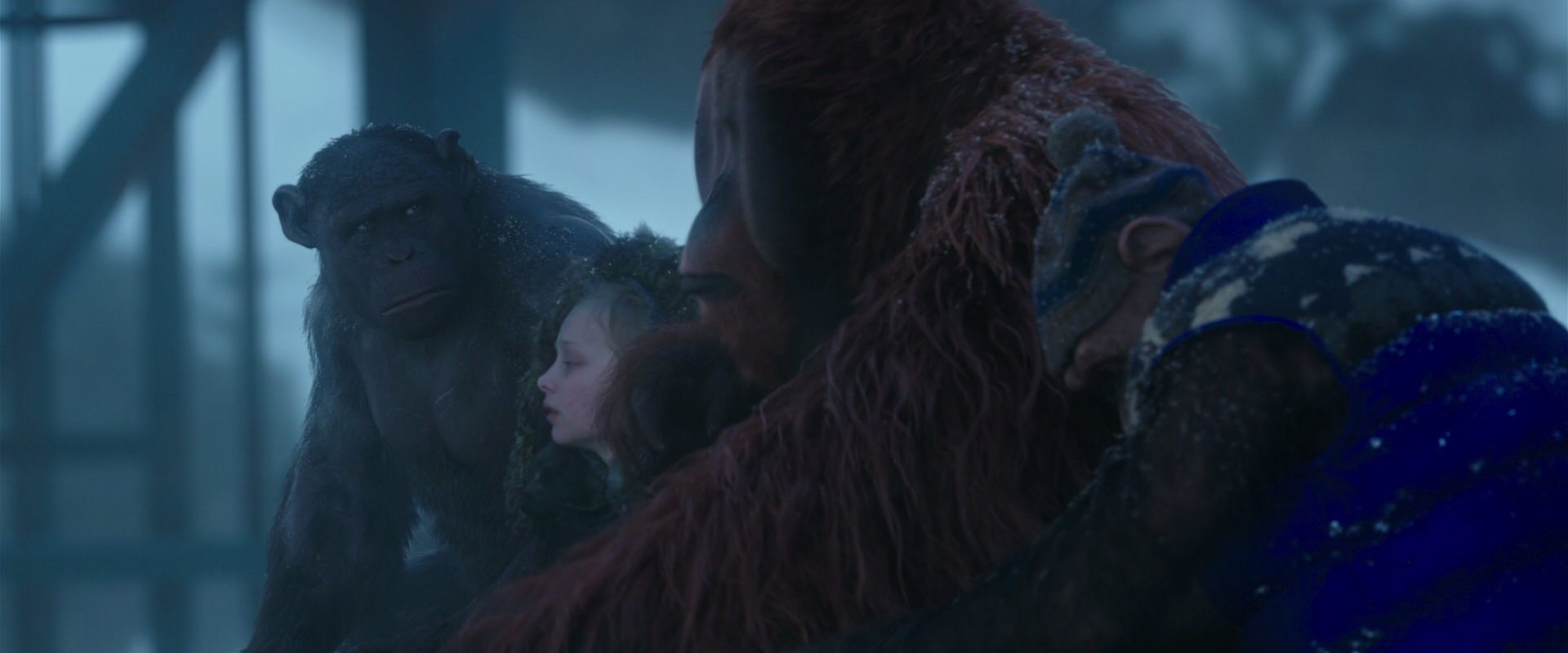 War for the Planet of the Apes (2017) movie still 8791