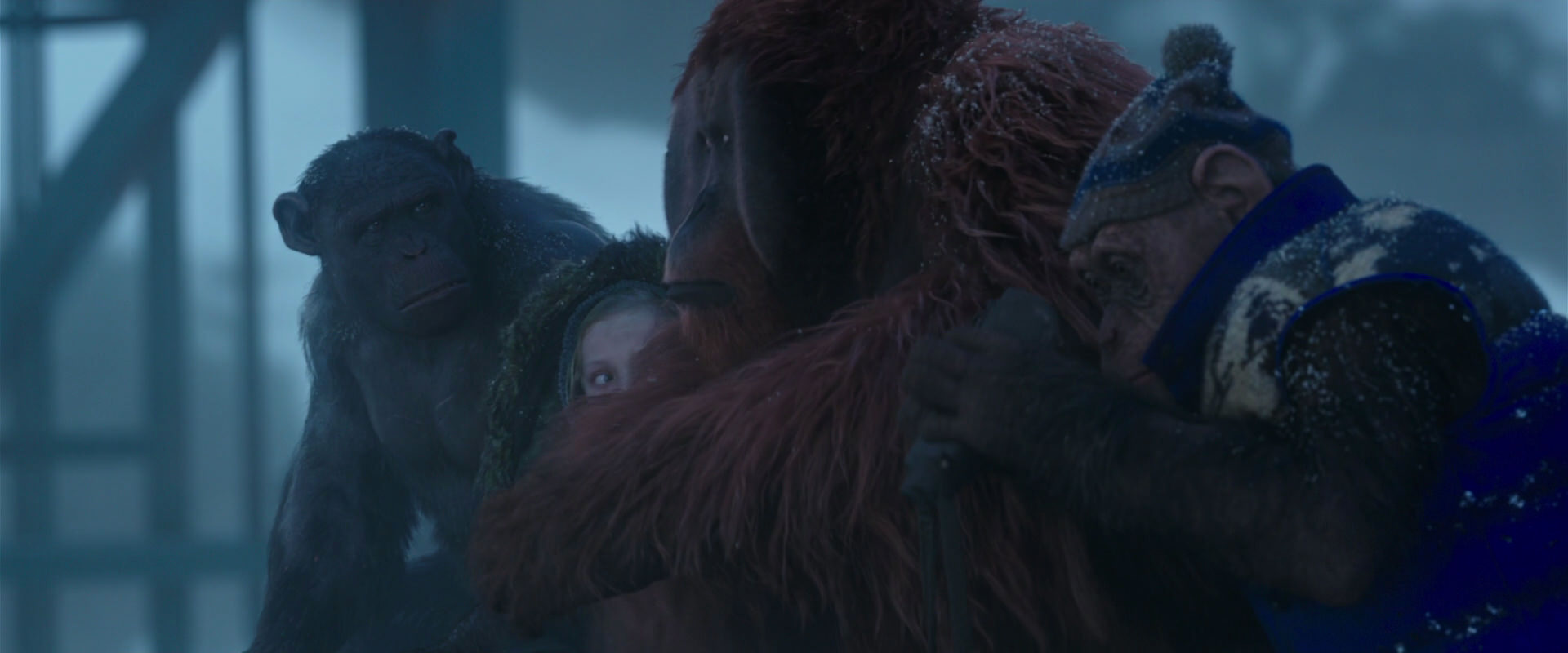 War for the Planet of the Apes (2017) movie still 8794
