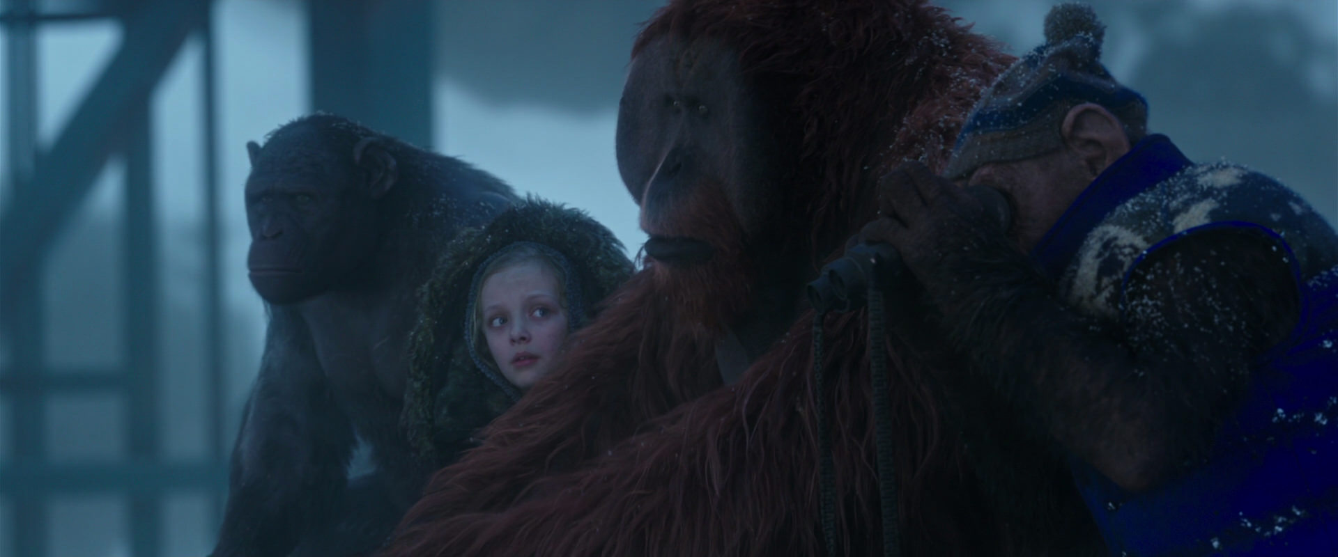 War for the Planet of the Apes (2017) movie still 8797