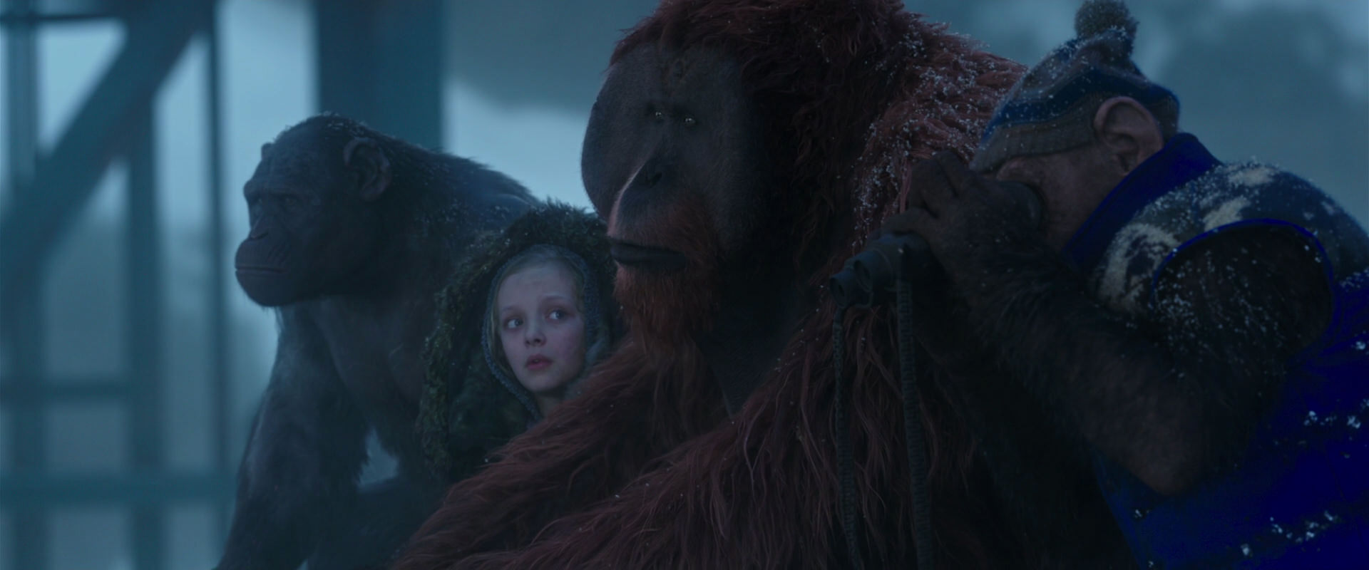 War for the Planet of the Apes (2017) screencap 8799