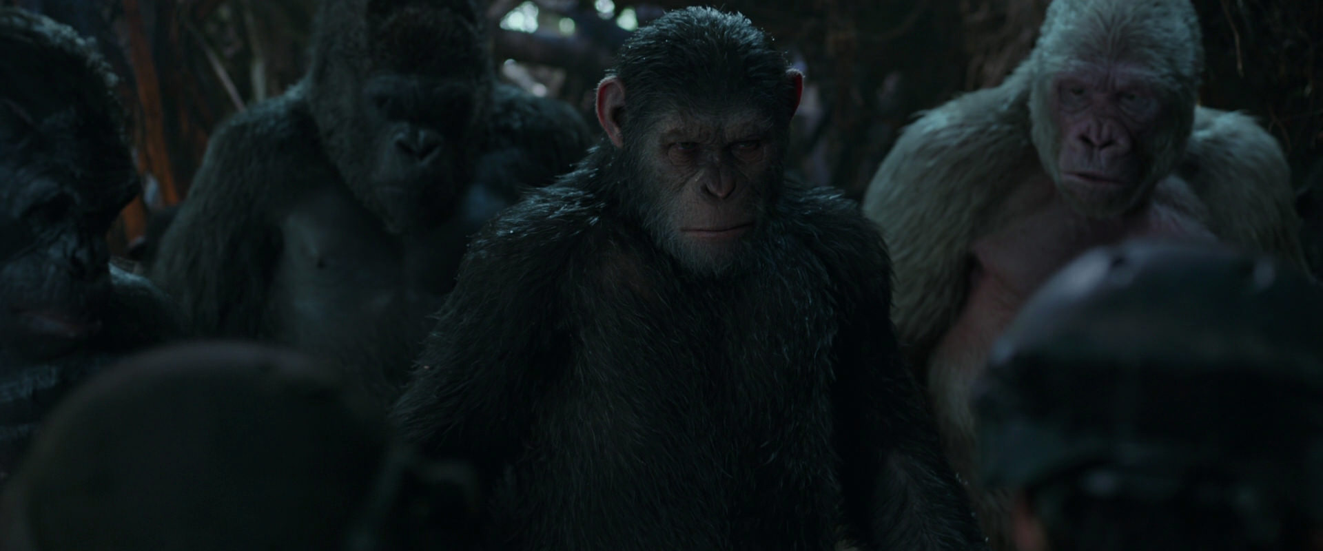 War for the Planet of the Apes (2017) movie still 880