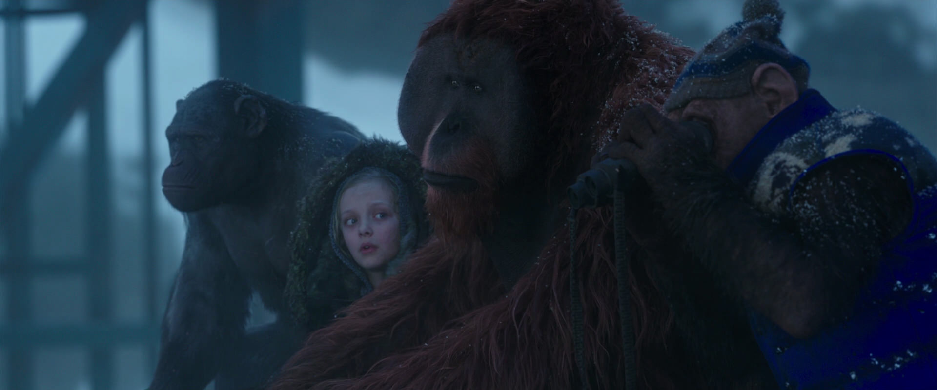 War for the Planet of the Apes (2017) movie still 8800