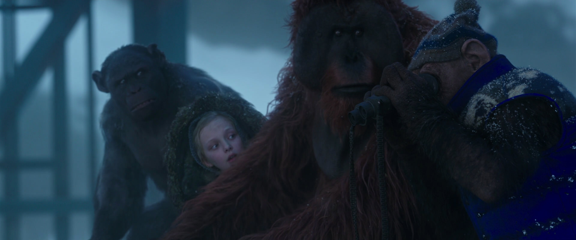 War for the Planet of the Apes (2017) movie still 8803