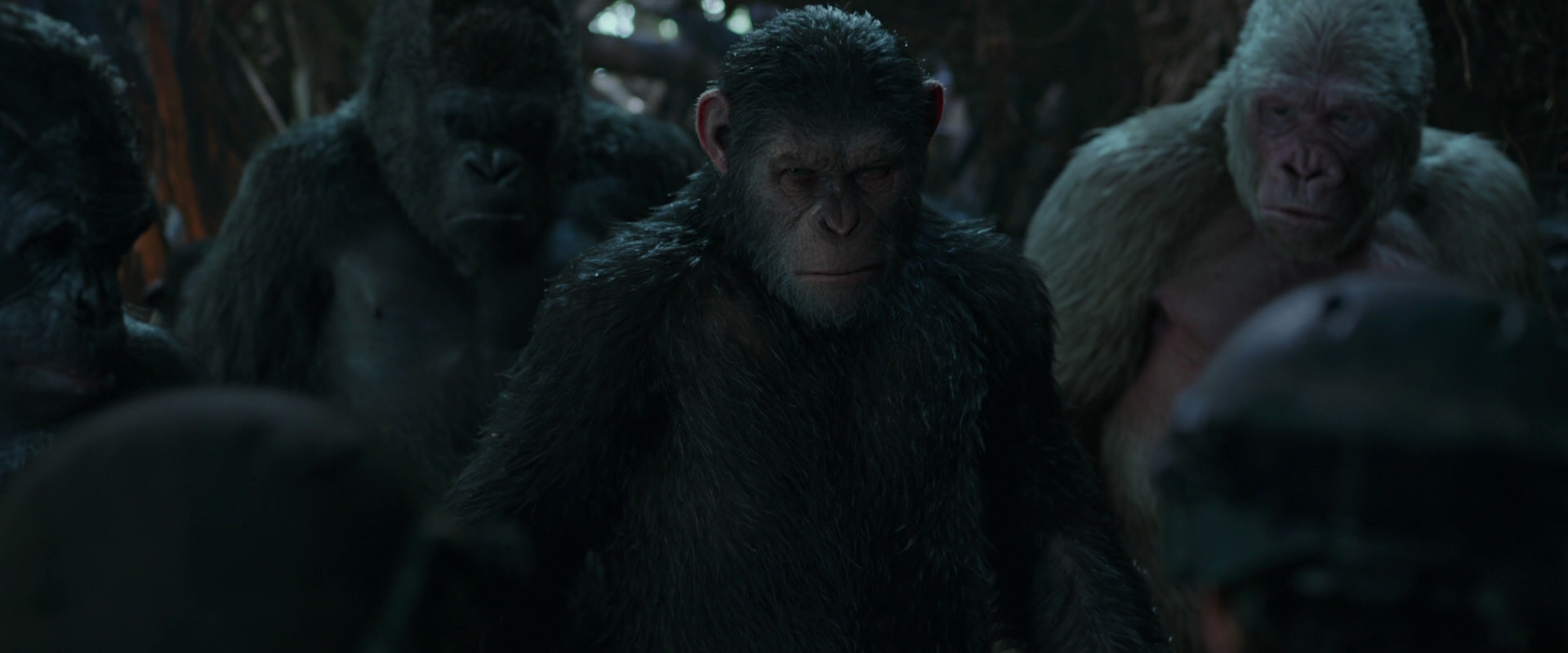 War for the Planet of the Apes (2017) HD screenshot 881