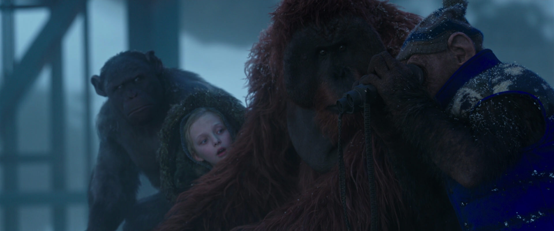 War for the Planet of the Apes (2017) movie still 8812