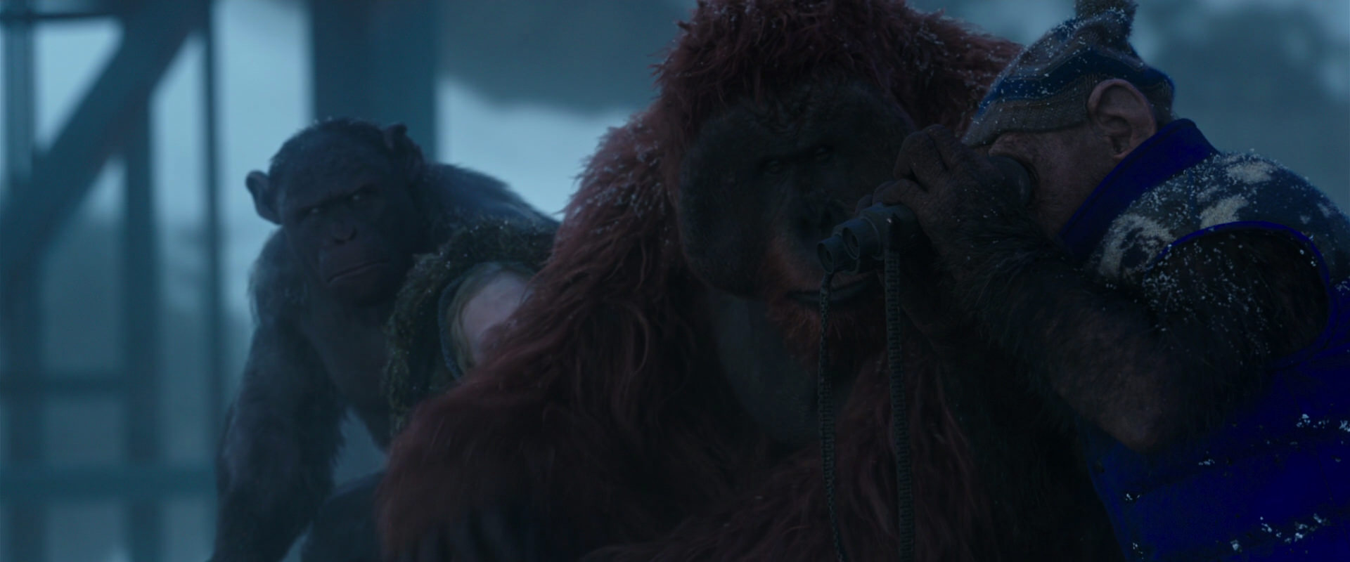 War for the Planet of the Apes (2017) movie still 8815