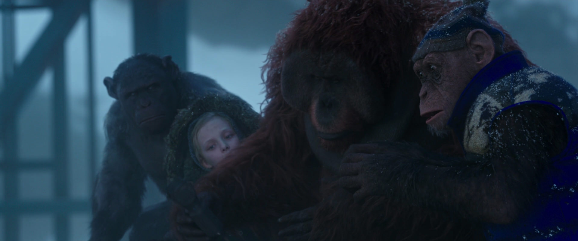 War for the Planet of the Apes (2017) movie still 8818