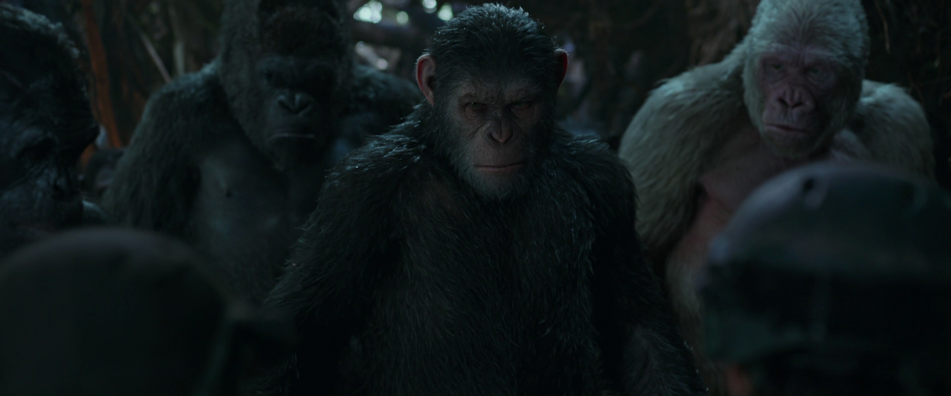 War for the Planet of the Apes (2017) screencap 882