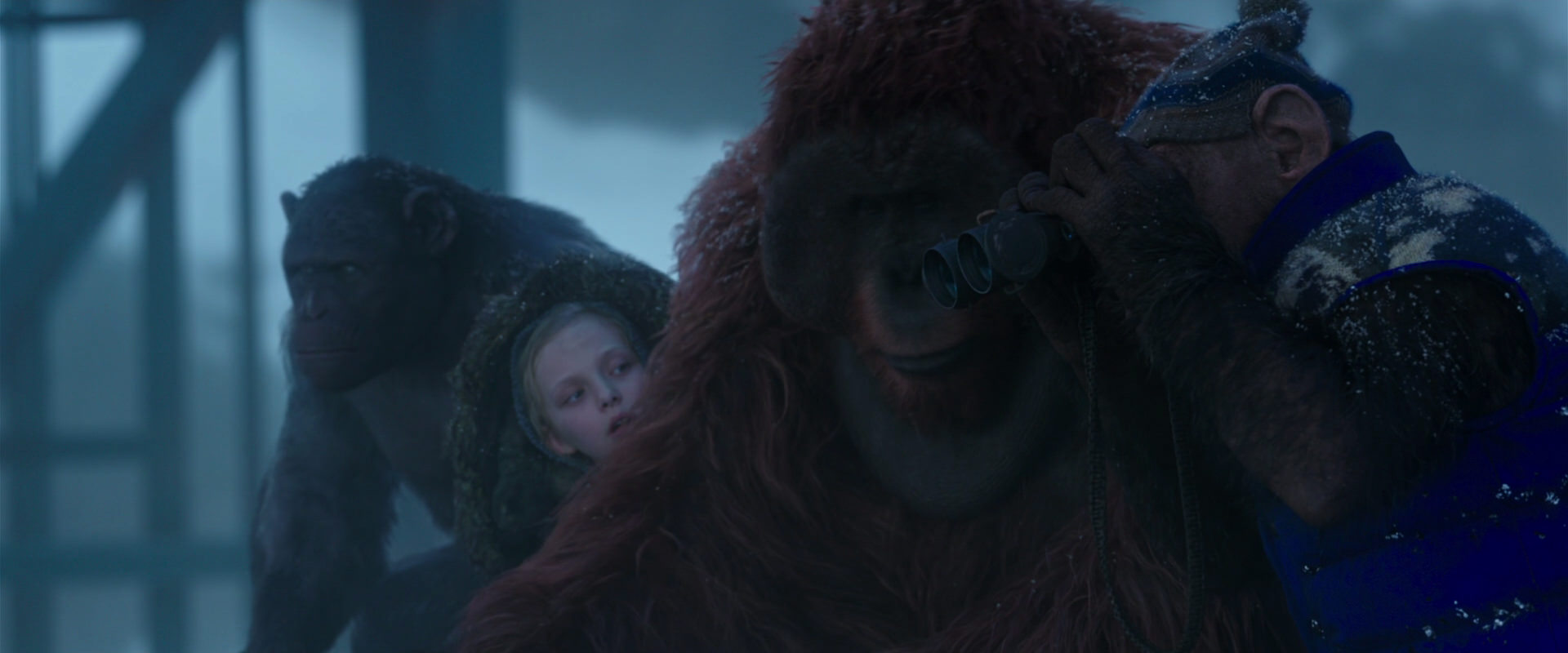 War for the Planet of the Apes (2017) movie still 8824